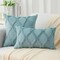 Spring Throw Pillow Covers 18x18 Inch Set of 2, Soft Plush Faux Fur Wool Aqua Couch Pillow Covers, Decorative Pillow Cases for Bed Sofa Living Room Home Decor